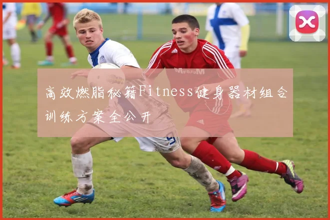 高效燃脂秘籍Fitness健身器材组合训练方案全公开