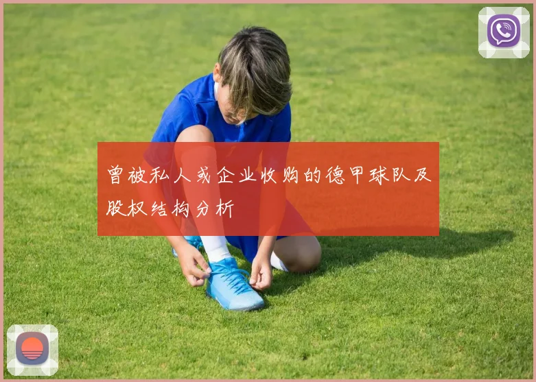 曾被私人或企业收购的德甲球队及股权结构分析