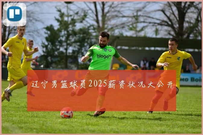 辽宁男篮球员2025薪资状况大公开