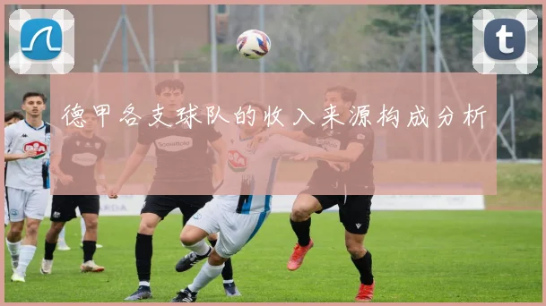 德甲各支球队的收入来源构成分析